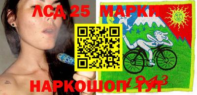 амф Шахты