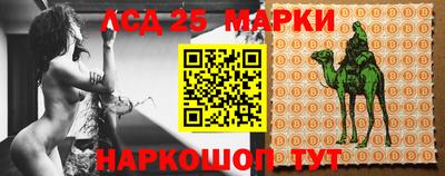 амф Шахты