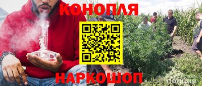 гидропоника Шебекино