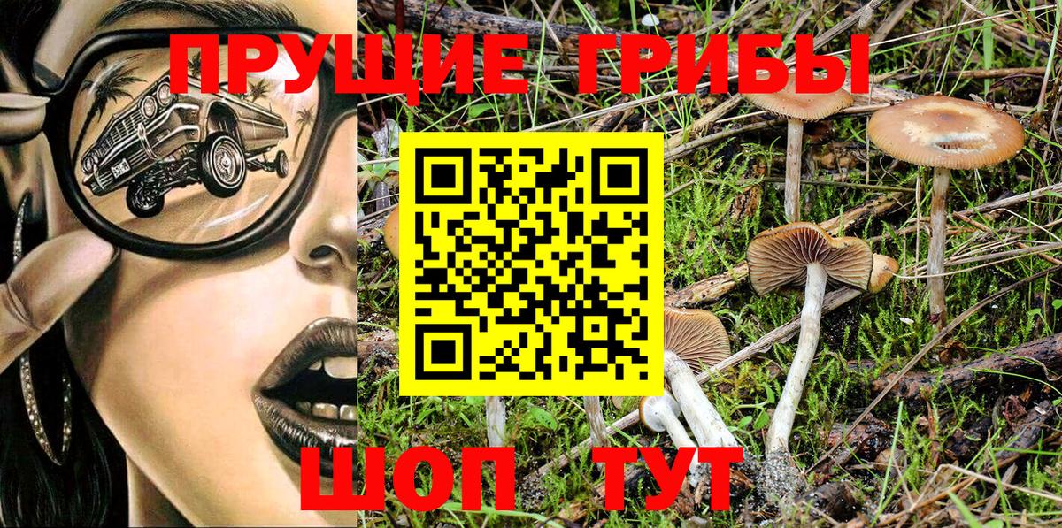 Псилоцибиновые грибы Psilocybine cubensis  Вход с VPN  Электрогорск  Галлюциногенные грибы GOLDEN TEACHER 