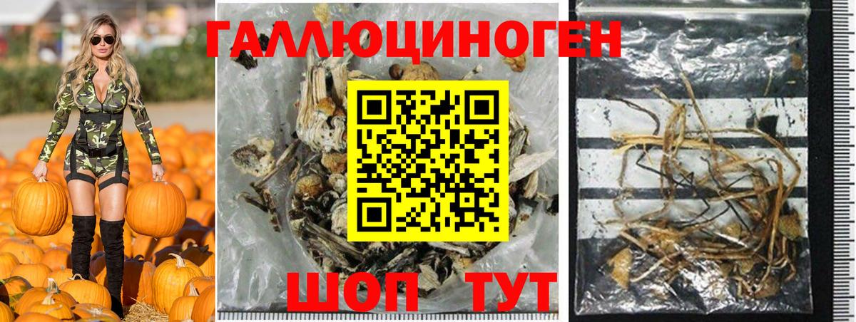 Псилоцибиновые грибы прущие грибы Электрогорск