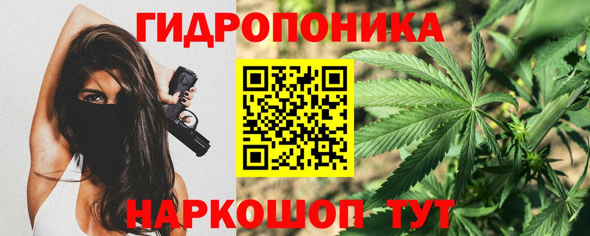 Канабис конопля Электрогорск